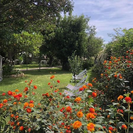 Villa Caterina B&B Procida Kültér fotó