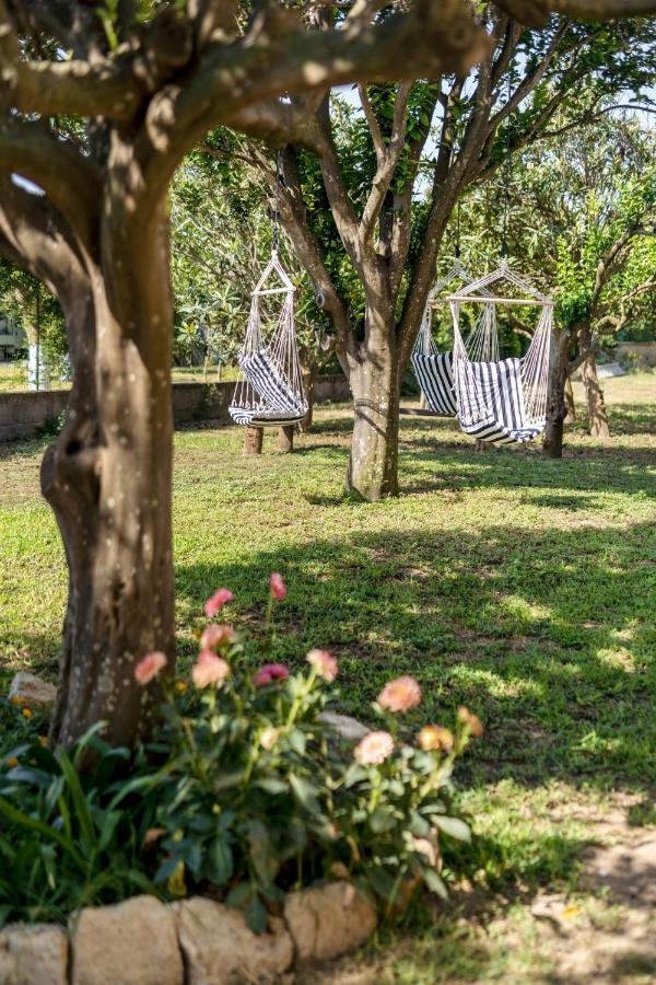 Villa Caterina B&B Procida Kültér fotó