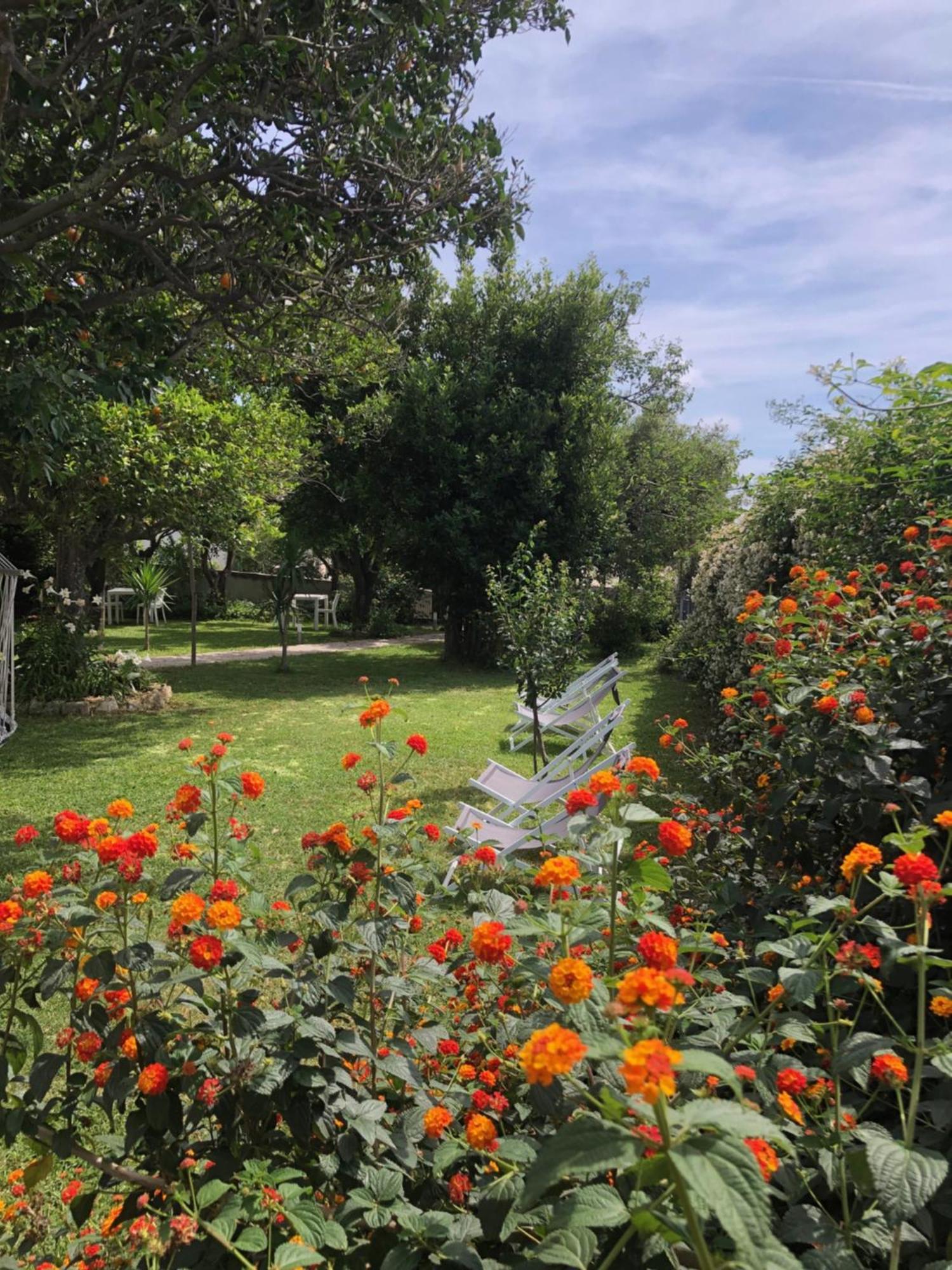 Villa Caterina B&B Procida Kültér fotó